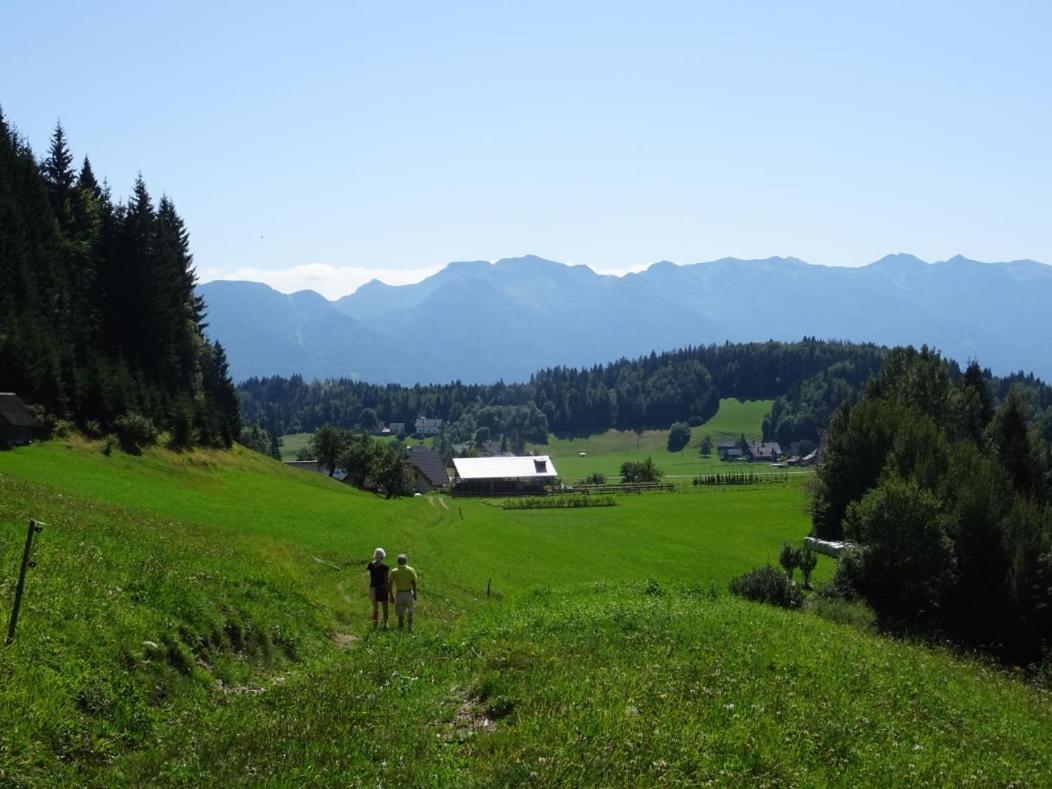 Bohinj Barn Apartman Kültér fotó